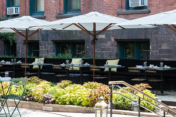 Rented by MNS | media 31