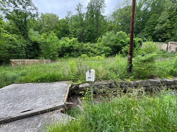 603 Town Branch Rd, Jonesville, VA 24263