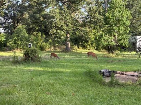 4th image of 22 Tbd La Hwy