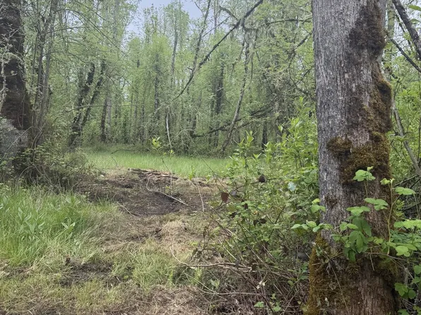 82750 Bear Creek Rd, Creswell, OR 97426