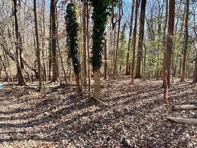 6-7 & 8 Wellington Dr, Clarksville, VA, 23927