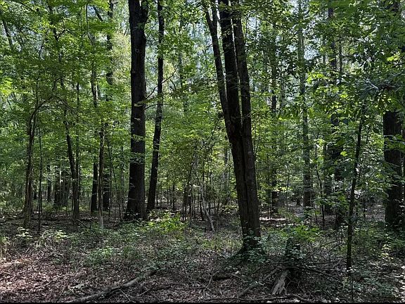 2nd image of 2212 Graham Rd
