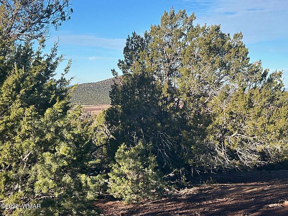 5th image of 80 Ranch Rd