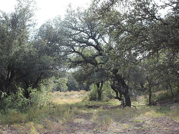 2nd image of 12565 County Road 2246