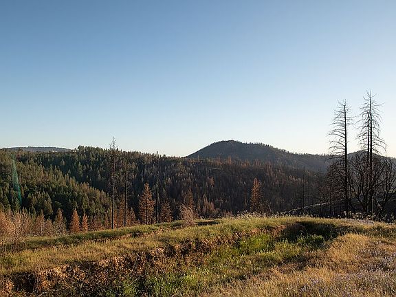 One of 4 terraced areas