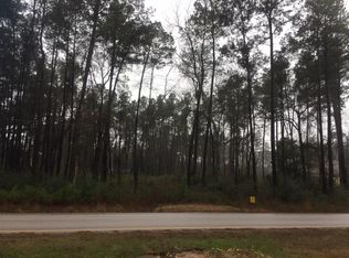 19554 Riverwalk Dr, Porter, TX 77365