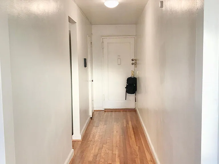 165 Vroom St #3L — Photo 5