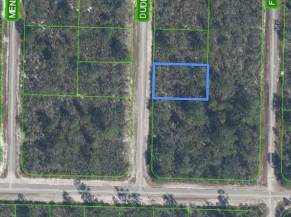 1105 RAMIRO STREET LOT 13, LAKE PLACID, FL 33852