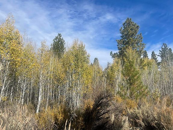 3rd image of Mule Deer Drive & Antelope Dr