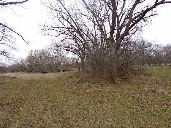 5th image of 185752 State Hwy #81