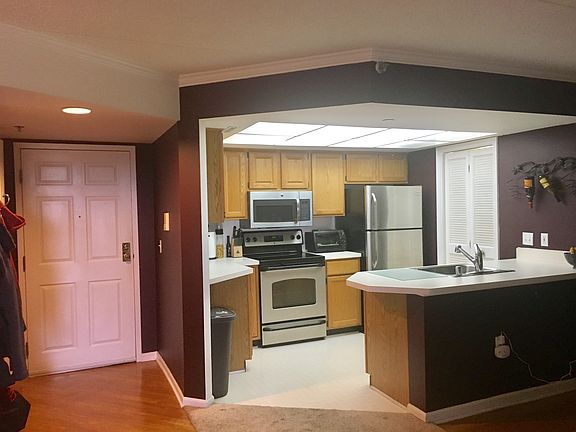 Entrance / Kitchen View