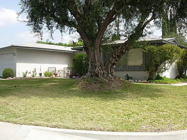3 bed, 1331 sqft, $3,750 — Photo 3