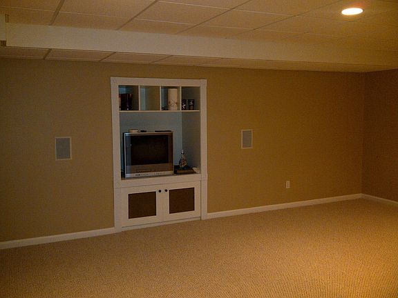 Basement Entertainment Center