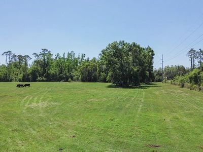  SE 242nd St, Cross City, FL, 32628
