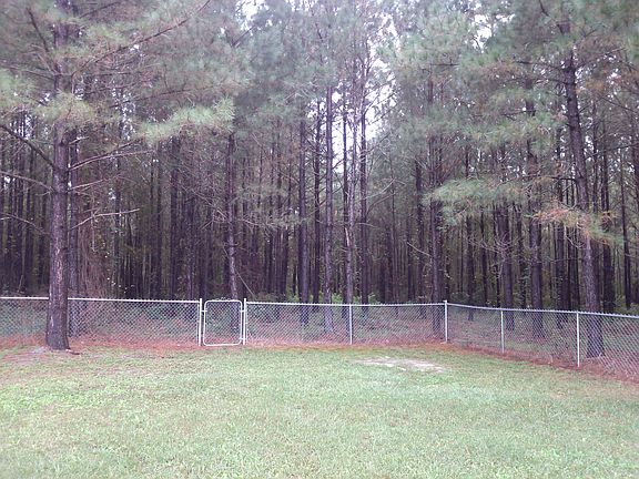 Planted pines - 5 acres