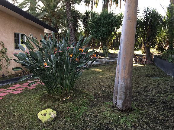 2nd image of 597 Hilltop Dr