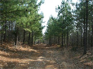 2nd image of Cuba Landing Rd