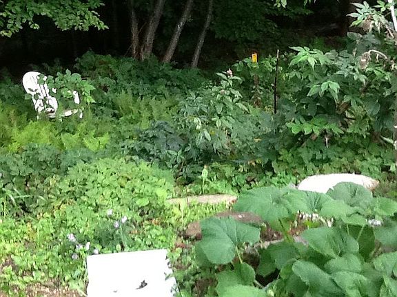 Continuing work on gardens!