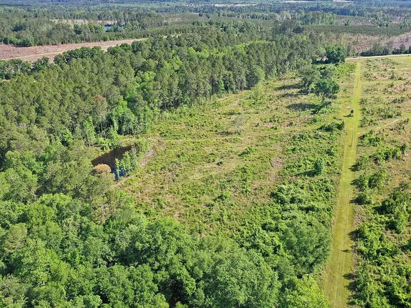 Tom Haley Rd, Lumber City, GA 31549
