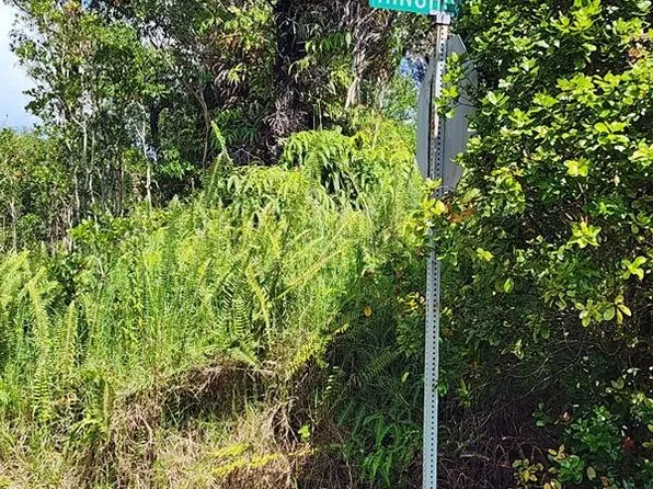 18-4174 Hinuhinu St Lot 83, Volcano, HI 96785