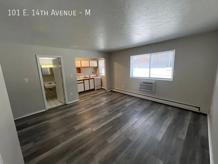 101 E 14th Ave #M — Photo 4