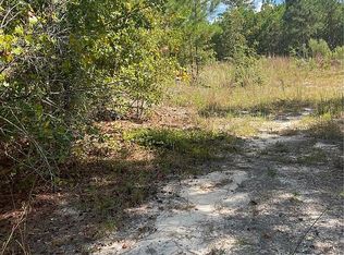 151 Hickory Head Rd, Westville, SC 29175