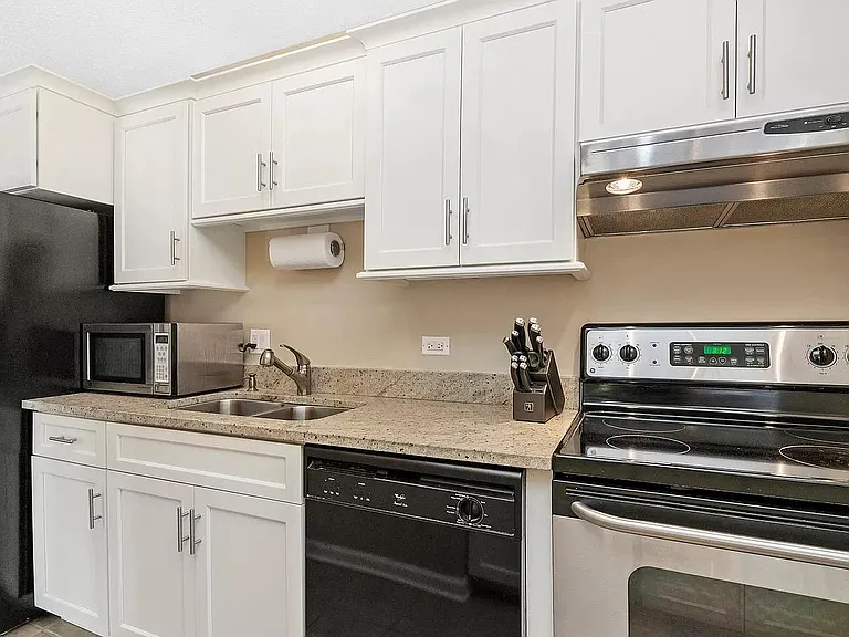 71 E Division St #1005 — Photo 6