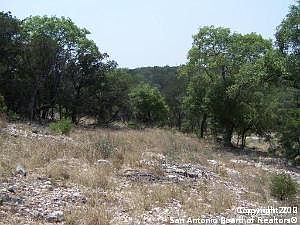 4th image of 20027 Terra Cyn