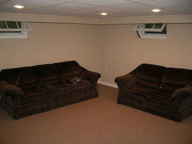 Partially Finished Basement 