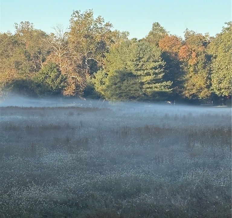 1st image of  Jones Lane