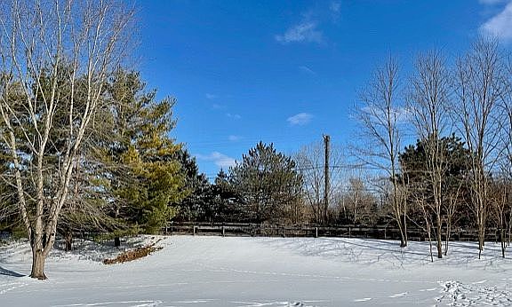 5th image of 1363 Horseshoe Cir