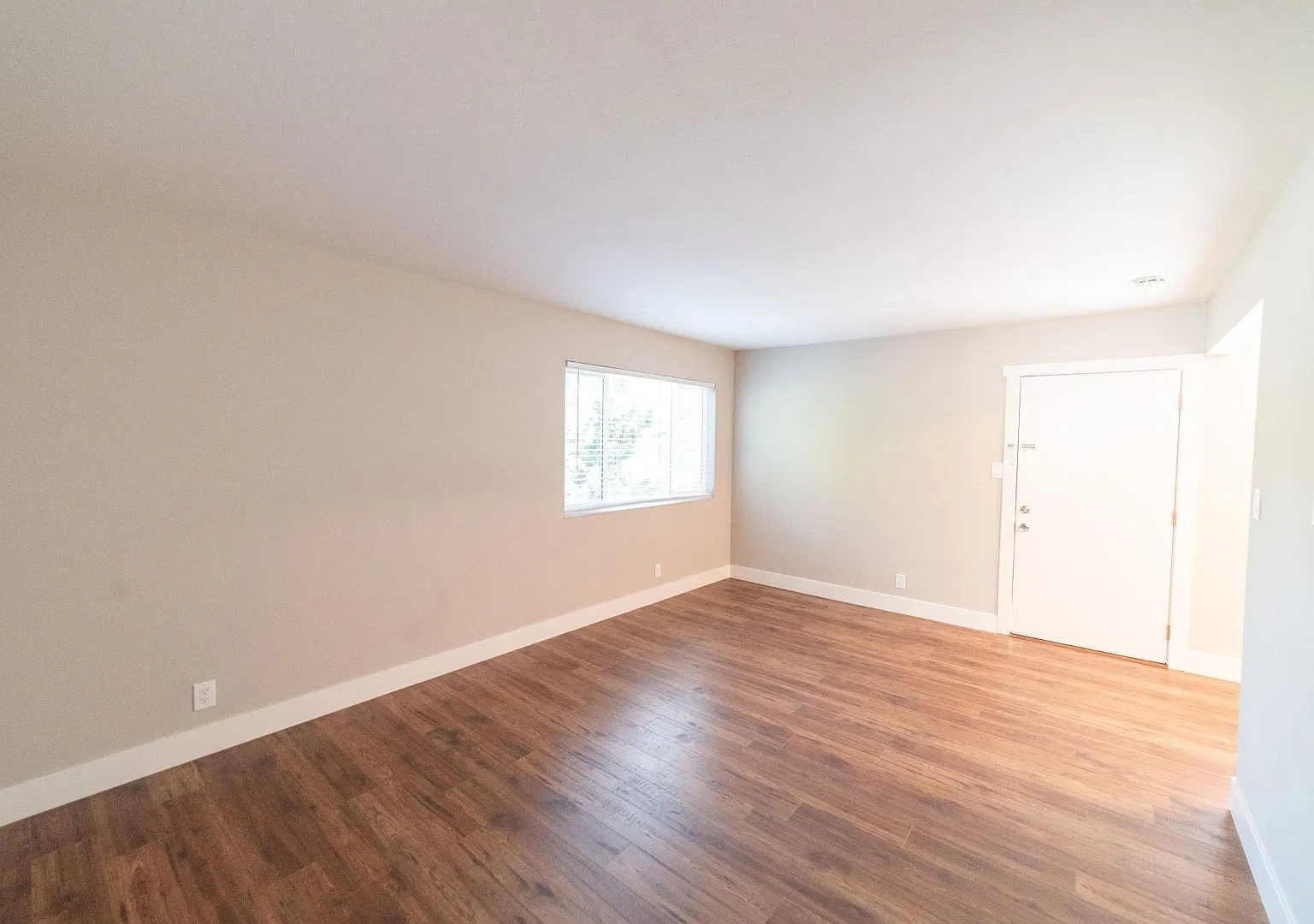 1331 Liberty St. — Photo 4