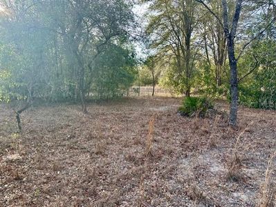 NW 5th Ave Lot 34, Branford, FL, 32008