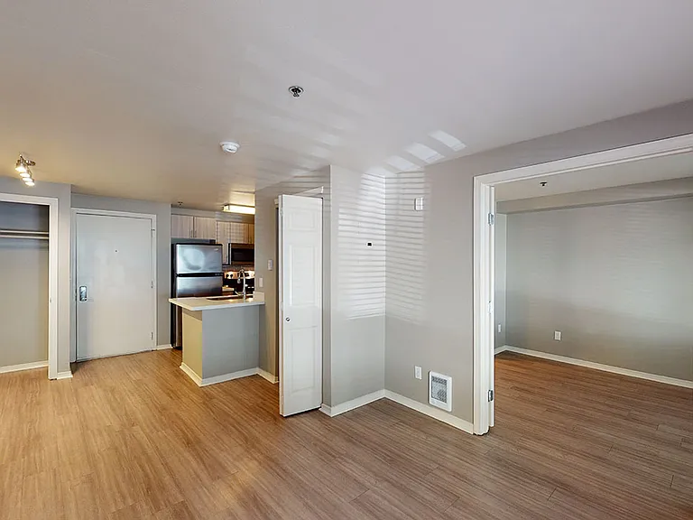 Apartment living room with wood-style flooring.