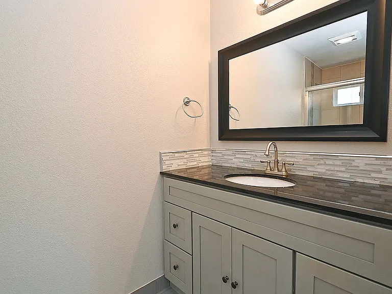 Downstairs Master Bathroom