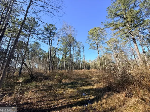 4 Sun Hill Grange Rd, Davisboro, GA 31018