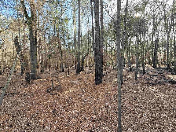 3rd image of  Bryants Landing Rd.