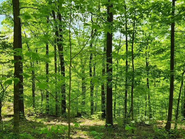 1796 S Garrison Chapel Rd, Bloomington, IN 47403