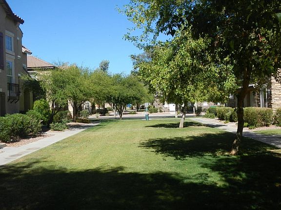 Quiet lawn and tree setting