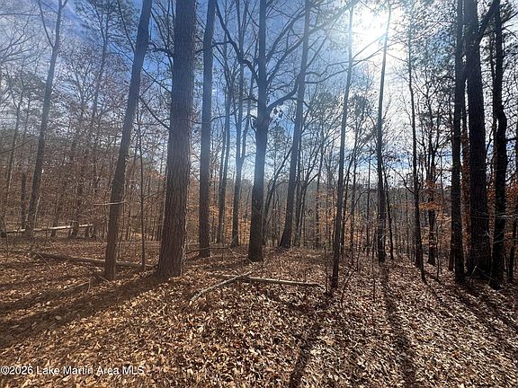 4th image of 29 Fern Ridge Ln