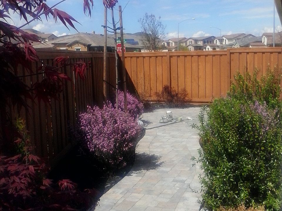 Side yard with potential for gardening access if desired. 