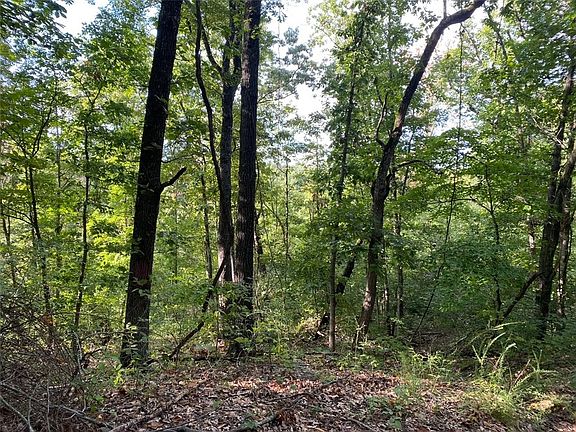 3rd image of Kent Ln #5