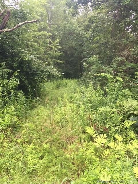 2nd image of 53 Todd Hill Rd