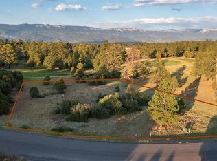 1456 Marmot Drive, Ridgway, CO 81432
