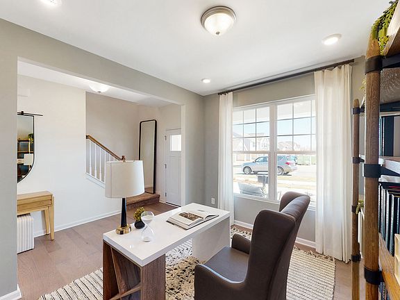 Study - Representational Photo