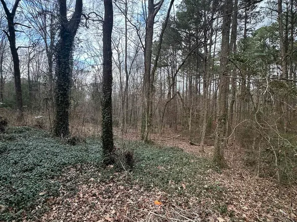 246 Whispering Pines Trl, Minden, LA 71055