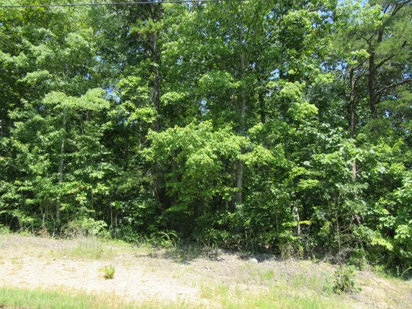 130 Medford Ln, Rocky Top, TN 37769