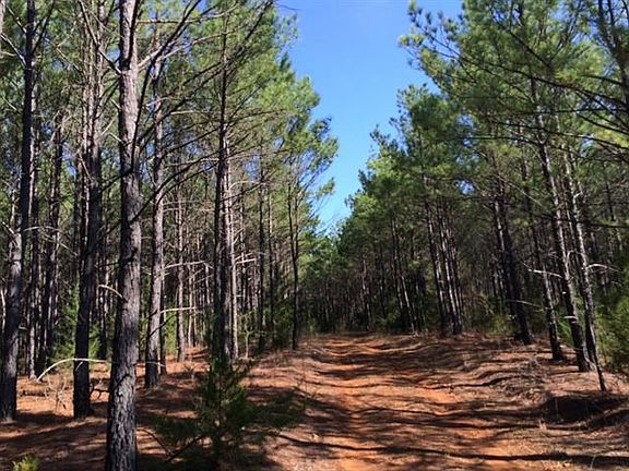 4th image of 10118 County Road 313 E