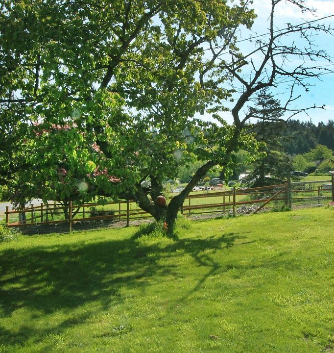 2nd image of 9713 SW 264th St