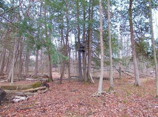 3100 Mertz Rd, Caro, MI 48723